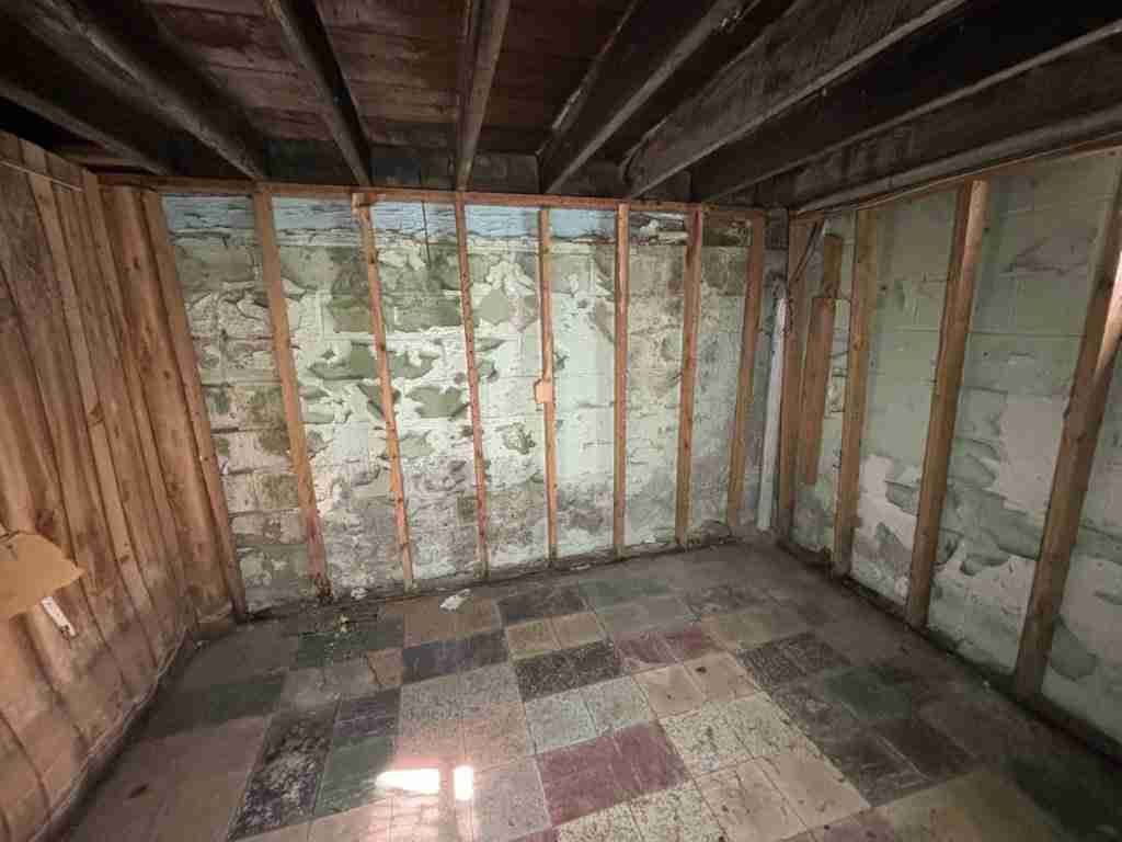 20241017_162804518_iOS (2).jpg